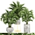 Tropical Palm Collection - Howea 3D model small image 1