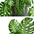 Indoor Monstera in Stylish Black Planter 3D model small image 2