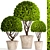 Spectacular Topiary Collection: 126 Varieties 3D model small image 1