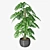 Monstera 02: Smooth Quality 3D model small image 1