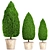 Beautiful Cupressus Collection: 127 Unique Plants 3D model small image 1