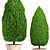 Beautiful Cupressus Collection: 127 Unique Plants 3D model small image 2