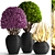 Botanical Greens Collection: Exquisite Potted Plants 3D model small image 1