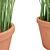 Leafy Terracotta Plant Duo 3D model small image 2