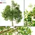 Realistic 3D Tree Model 3D model small image 1