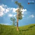 3D Tree Model No. 4: V-Ray, Corona Renderer & PBR 3D model small image 2