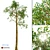 Realistic 3D Model of a Tree 3D model small image 1