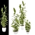 Versatile Trio of Vray-displaced Plants 3D model small image 1