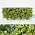Versatile Ligustrum Hedge - 60cm Height 3D model small image 1
