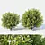 Versatile Ligustrum for Stunning Landscapes 3D model small image 1