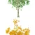 Seasonal Birch Tree: 3D Model 3D model small image 2