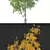 Birch Tree 3D Model: Seasonal Edition 3D model small image 2