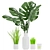 Tropical Indoor Plant Collection 3D model small image 1