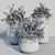 Exotic Persian Shield: Vibrant Outdoor Plants 3D model small image 2