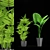 Tall and Beautiful Indoor Plant 3D model small image 1