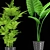 Tall and Beautiful Indoor Plant 3D model small image 2