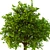 3D Bush No. 2 Model Kit 3D model small image 2