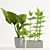 Triple Style 900mm Plant 3D model small image 1