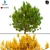 3D Model Bush No. 3: All Seasons 3D model small image 1