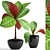 Tropical Plant Collection: Exotic Green Beauty 3D model small image 1