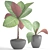 Tropical Plant Collection: Exotic Green Beauty 3D model small image 3