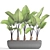 Large-Rooted Alocasia: Collection of 143 Exquisite Plants 3D model small image 3