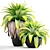 Tropical Jungle Collection: 144 Exotic Plants 3D model small image 1