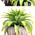 Tropical Jungle Collection: 144 Exotic Plants 3D model small image 2