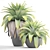 Tropical Jungle Collection: 144 Exotic Plants 3D model small image 3