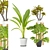 Tropical Plant Trio with Stylish Pots 3D model small image 1