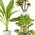 Tropical Plant Trio with Stylish Pots 3D model small image 2