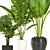 14 Different Indoor Plants: Bring Nature Inside 3D model small image 2