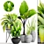 Tropical Plant Collection: Sansevieria, Alocasia & Palm Grass 3D model small image 1