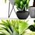 Tropical Plant Collection: Sansevieria, Alocasia & Palm Grass 3D model small image 2