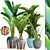 Tropical Plant Collection: Ravenala, Sansevieria, Palm 3D model small image 1