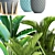 Tropical Plant Collection: Ravenala, Sansevieria, Palm 3D model small image 2