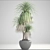 Exotic Dracaena: Vibrant Interior Decor 3D model small image 3