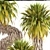 Tropical Yucca Elata Collection 3D model small image 2