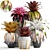 Tropical Bromelia: Exotic Collection of Plants 3D model small image 1