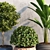 Tropical Plant Trio Set 3D model small image 2