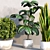 Exquisite Indoor Plant Trio 3D model small image 2