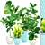 Tropical Ficus Lyrata: Stunning Potted Plant 3D model small image 1