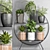 Greenery Haven - Urban Planter Set 3D model small image 1