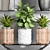 Greenery Haven - Urban Planter Set 3D model small image 2