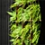 Elegant Fern Wall Panel 3D model small image 2