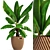 Tropical Vibes in a Pot: Banana Palm 3D model small image 1