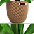 Tropical Vibes in a Pot: Banana Palm 3D model small image 2