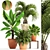 Tropical Plant Collection 3D model small image 1