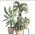 Tropical Plant Collection 3D model small image 3