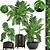 Elegant Chamaedorea: Lush Indoor Palm 3D model small image 1